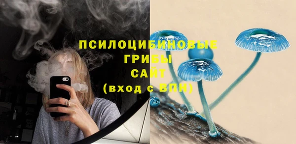2c-b Верея