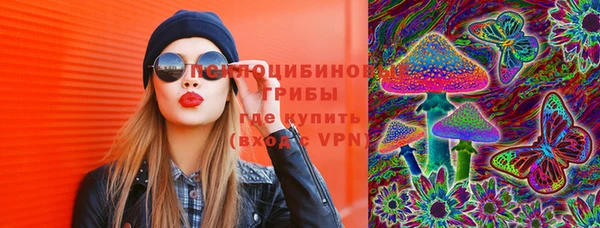 не бодяженный Бородино