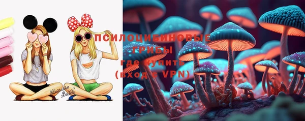 2c-b Верея